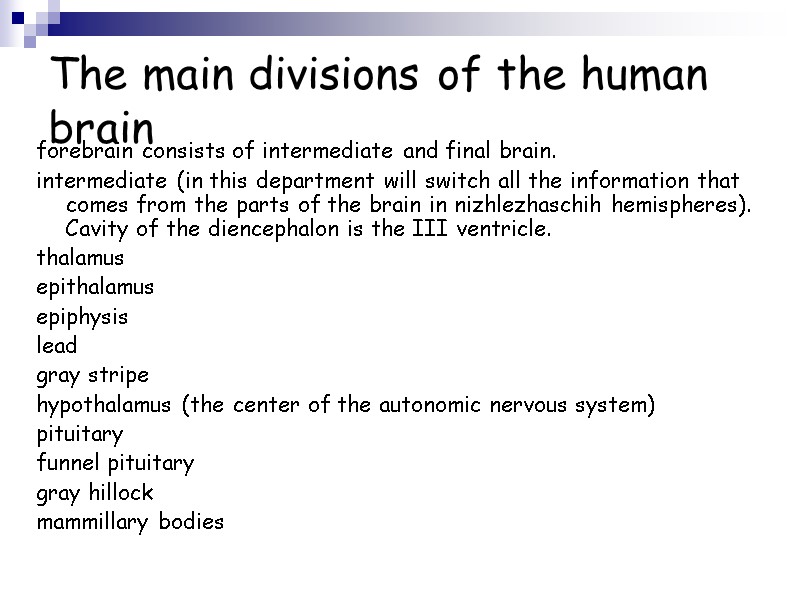 The main divisions of the human brain forebrain consists of intermediate and final brain.